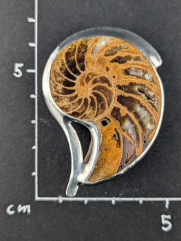 Nautilus Kettenanhänger